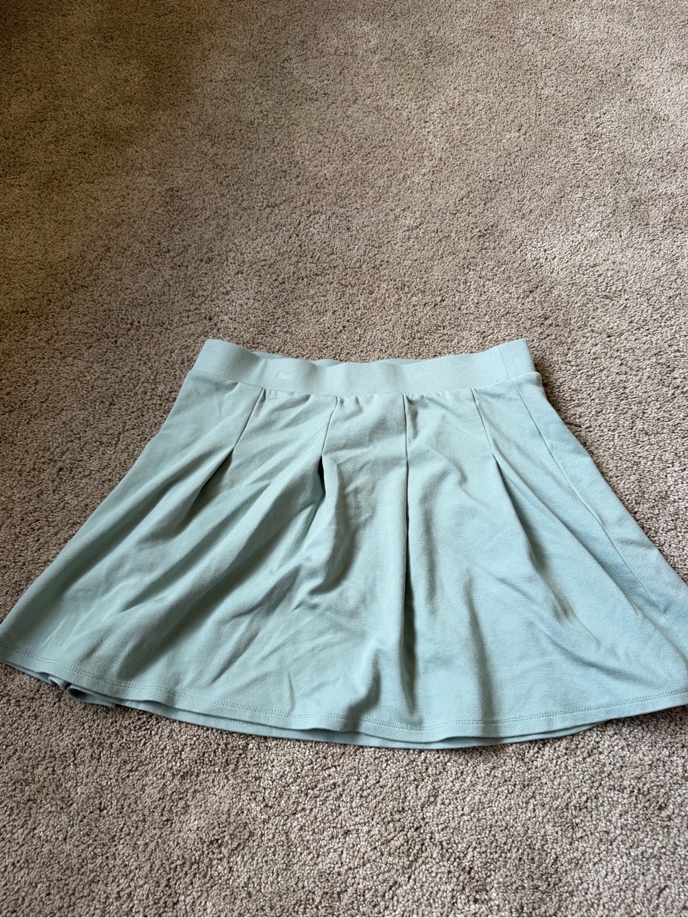 wild fable Mint Green Pleated Mini Skirt